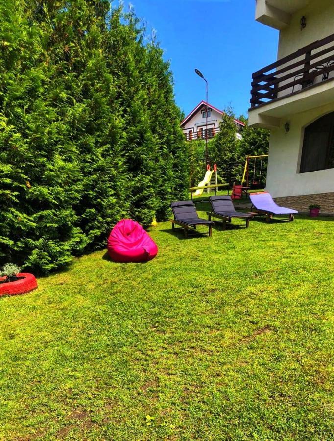 Vila Aldor Bran  Extérieur photo