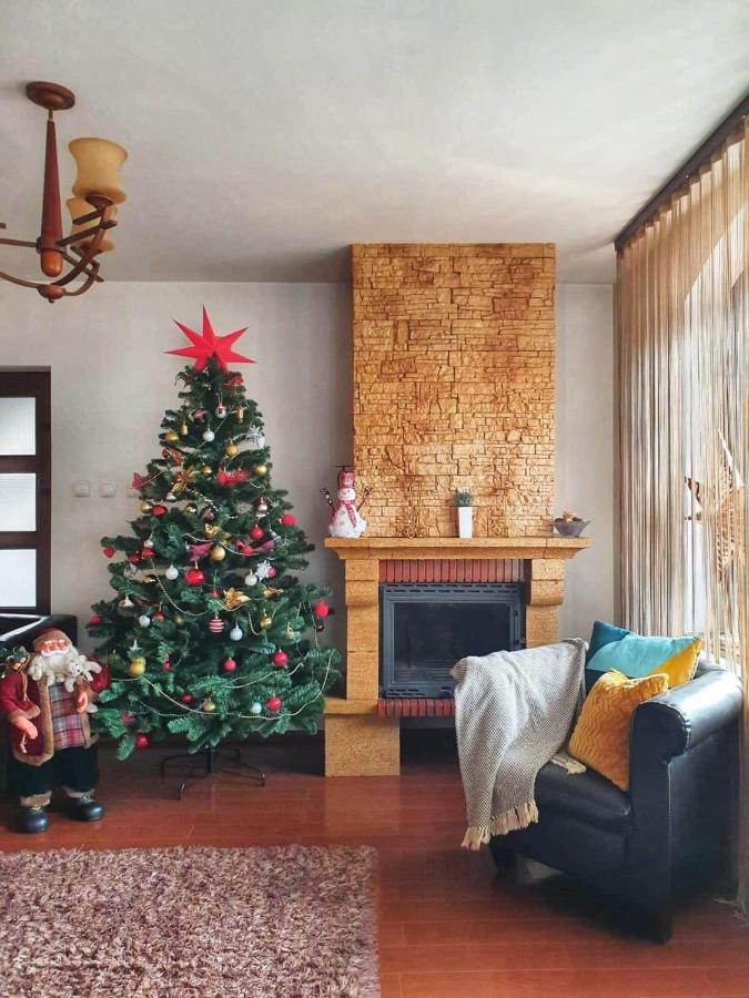 Vila Aldor Bran  Extérieur photo