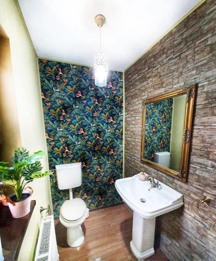 Vila Aldor Bran  Extérieur photo