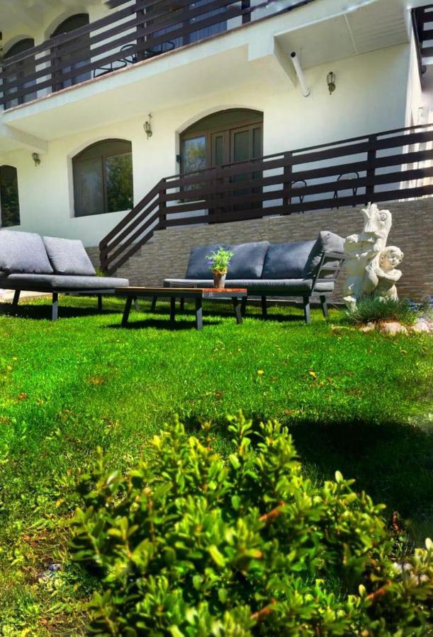 Vila Aldor Bran  Extérieur photo