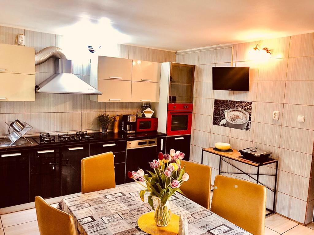 Vila Aldor Bran  Extérieur photo